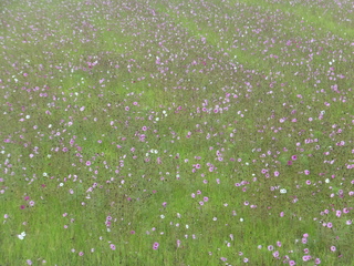 DSCF3068.JPG