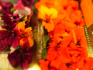 DSCF3115.JPG