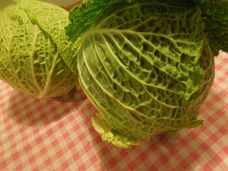 DSCN0183.JPG