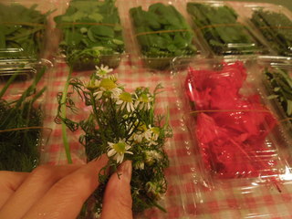 DSCN0203.JPG