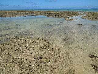 DSCN0910.JPG