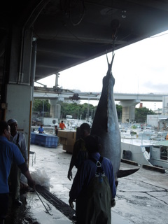 DSCN3071.JPG