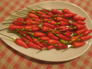 DSCN3388.JPG