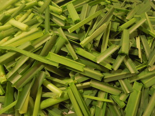 DSCN3621.JPG
