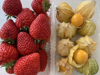IMG_8788.jpeg
