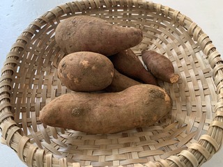 IMG_8826.jpeg