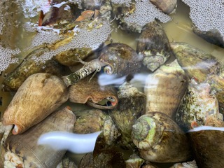 IMG_8922.jpeg