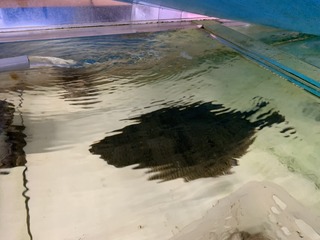 IMG_9484.jpeg