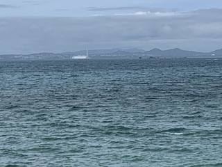IMG_9894.jpeg