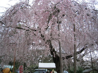 dc062957.jpg